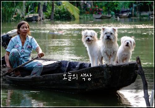 오늘의 색상