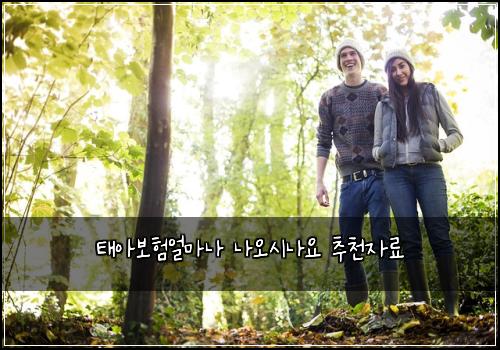 태아보험얼마나 나오시나요 추천자료