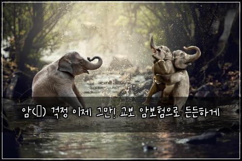  암(癌) 걱정 이제 그만! 교보 암보험으로 든든하게