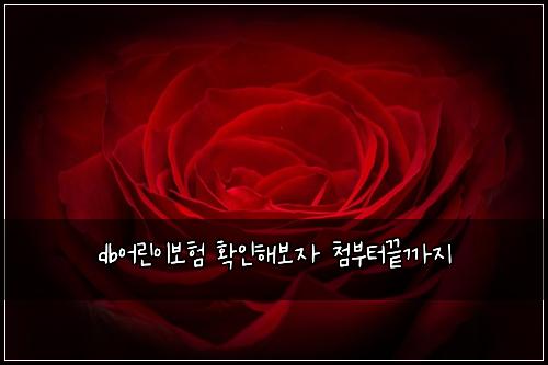 db어린이보험 확인해보자  첨부터끝까지