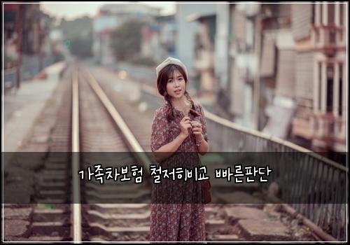가족차보험 철저히비교  빠른판단