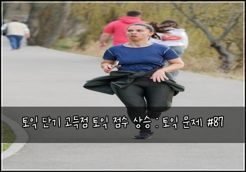 토익 단기 고득점 토익 점수 상승 : 토익 문제 #87