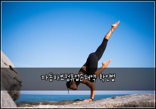 자동차보험휴업손해액 확인법