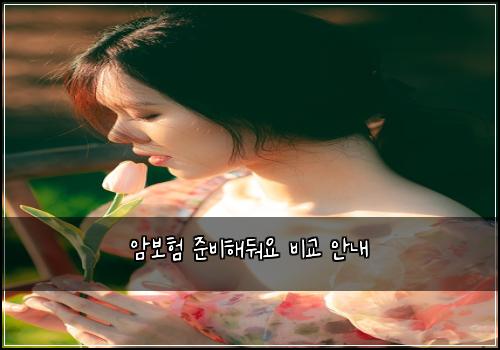 암보험 준비해둬요  비교 안내