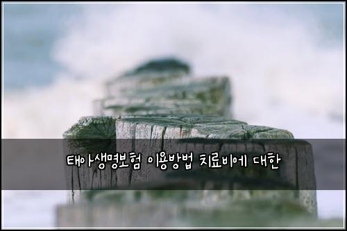 ํ์์๋ช
๋ณดํ ์ด์ฉ๋ฐฉ๋ฒ ์น๋ฃ๋น์ ๋ํ