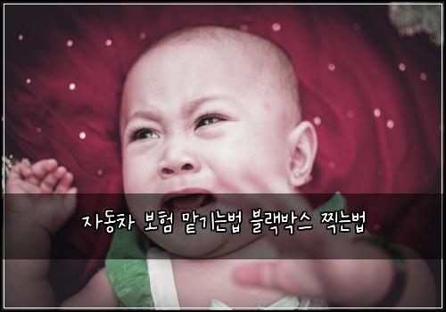 자동차 보험 맡기는법  블랙박스 찍는법