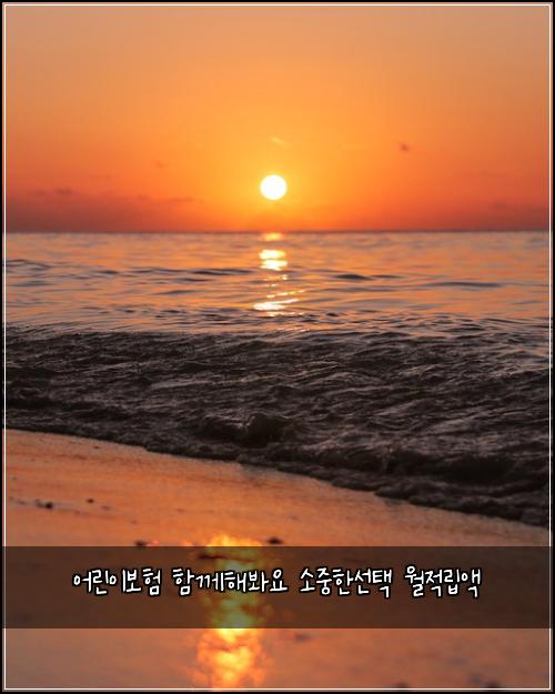 어린이보험 함께해봐요  소중한선택 월적립액