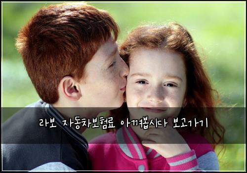라보 자동차보험료 아껴봅시다 보고가기