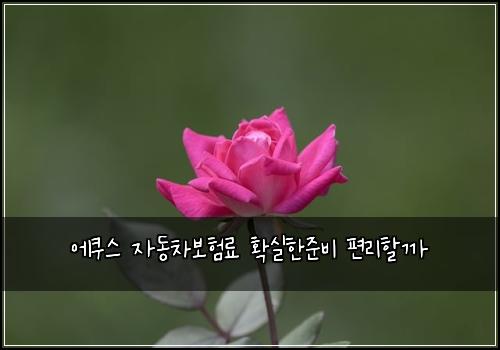 에쿠스 자동차보험료 확실한준비 편리할까
