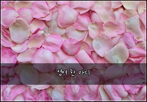 영어 한 마디