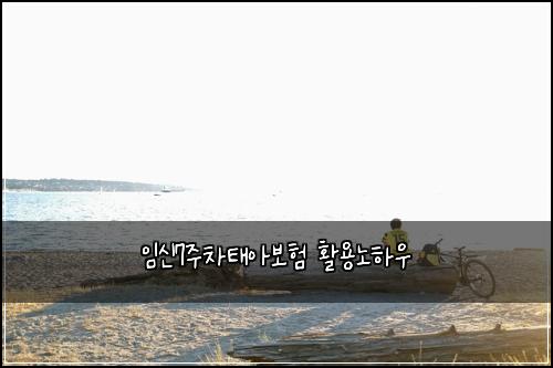 임신7주차태아보험 활용노하우 