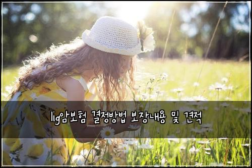 lig암보험 결정방법  보장내용 및 견적