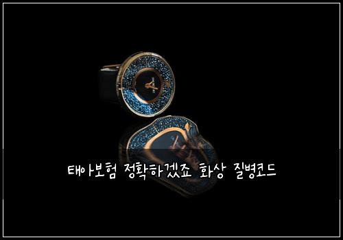 태아보험 정확하겠죠  화상 질병코드