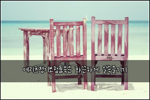메리츠정기보험품목은 화끈하게 실속즐기기