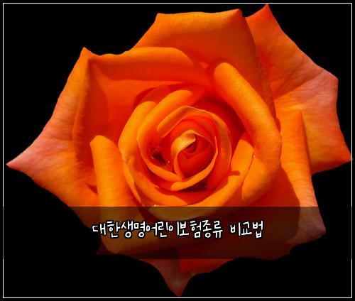 대한생명어린이보험종류 비교법
