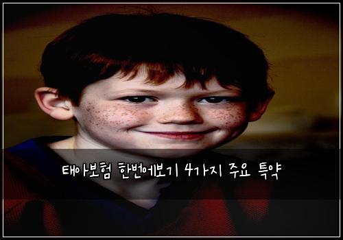 태아보험 한번에보기  4가지 주요 특약