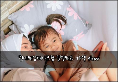 ํ๋ํด์ํ์๋ณดํ ๊ฒฐ์ ํด์ ๊ฐ๊ฒฉ show