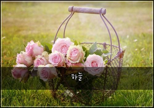 하늘