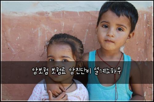 암보험 보험료 암진단비 설계노하우