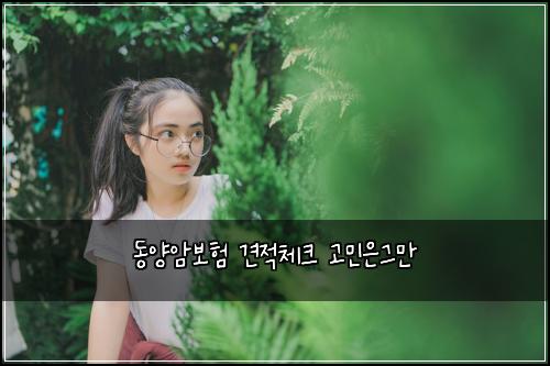 동양암보험 견적체크  고민은그만