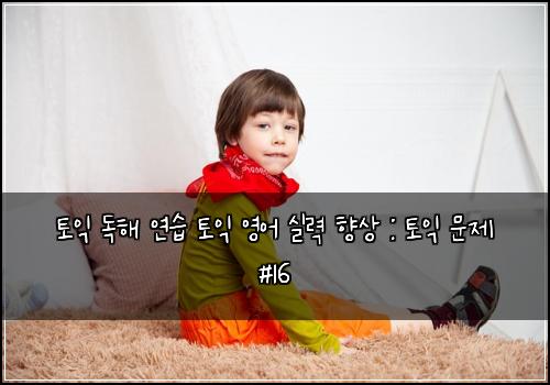 토익 독해 연습 토익 영어 실력 향상 : 토익 문제 #16