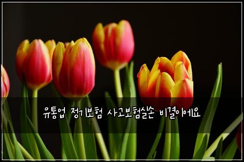 유통업 정기보험 사고보험실손 비결이에요