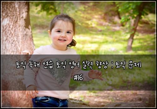 토익 독해 연습 토익 영어 실력 향상 : 토익 문제 #16