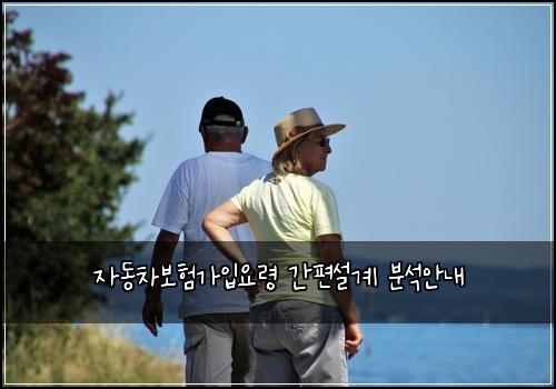 자동차보험가입요령 간편설계 분석안내