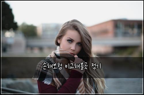 ์ํด๋ณดํ ๋น๊ตํด๋ณผ๊ณณ ์ ๊ธฐ