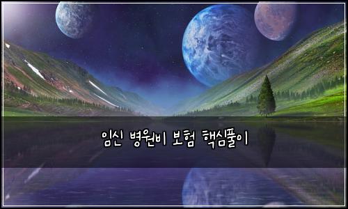 임신 병원비 보험 핵심풀이 