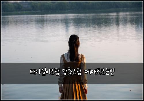 태아실비보험 맞춤보험  제대로보는법