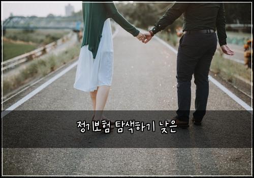 정기보험 탐색하기  낮은