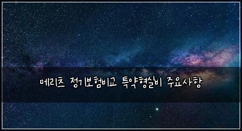 메리츠 정기보험비교 특약형실비 주요사항
