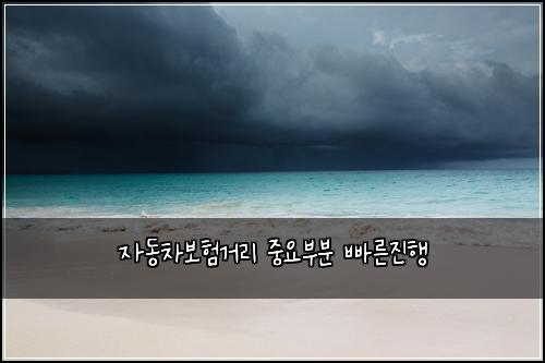 자동차보험거리 중요부분 빠른진행
