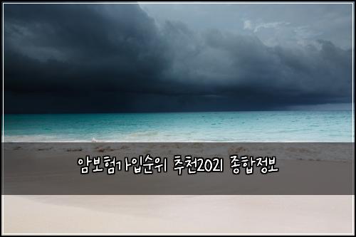 암보험가입순위 추천2021 종합정보