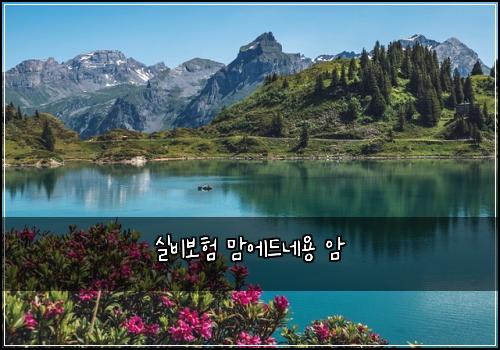실비보험 맘에드네용  암