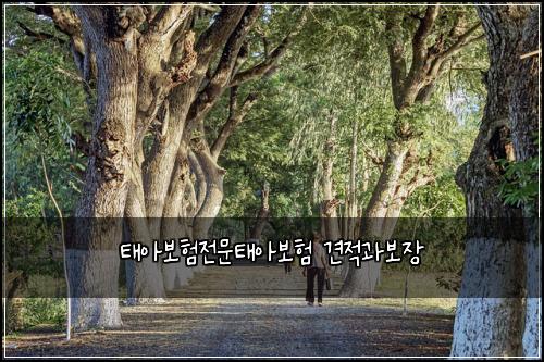νμ보νμ λ¬Ένμ보ν 견μ 과보μ₯