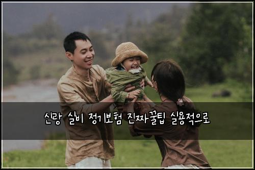 신랑 실비 정기보험 진짜꿀팁  실용적으로