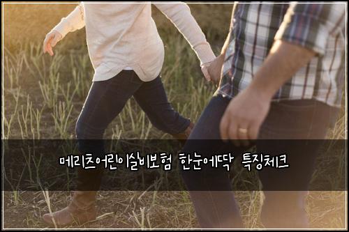메리츠어린이실비보험 한눈에딱  특징체크