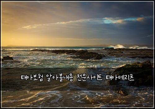 태아보험 알아볼내용  전문사이트 태아메리츠