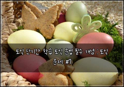 토익 단기간 학습 토익 문법 필수 개념 : 토익 문제 #7