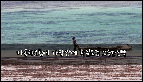 ์๋์ฐจ๋ณดํ์ ๊ฐ์ฅ์ผ๋ฐ ํ์ค์์ ์์คํ์ ํ