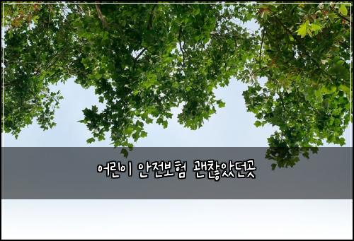 ์ด๋ฆฐ์ด ์์ ๋ณดํ ๊ด์ฐฎ์๋๊ณณ