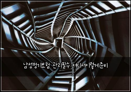 남성정기보험 관리필수  어디서이렇게준비