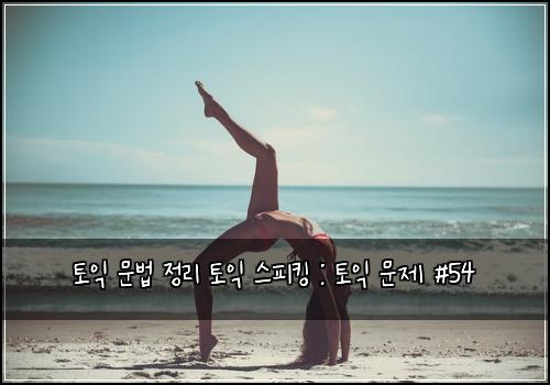 토익 문법 정리 토익 스피킹 : 토익 문제 #54