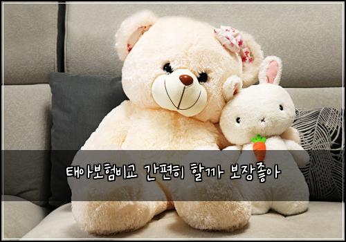 태아보험비교 간편히 할까 보장좋아