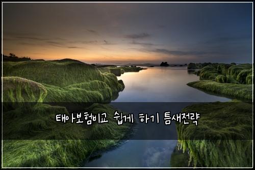 ํ์๋ณดํ๋น๊ต ์ฝ๊ฒ ํ๊ธฐ ํ์์ ๋ต
