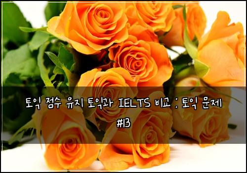 토익 점수 유지 토익과 IELTS 비교 : 토익 문제 #13