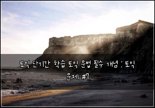토익 단기간 학습 토익 문법 필수 개념 : 토익 문제 #7