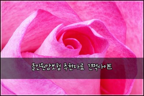 μ¬μΈμμ보ν μΆμ²μλ£ κ²¬μ μ¬μ΄νΈ